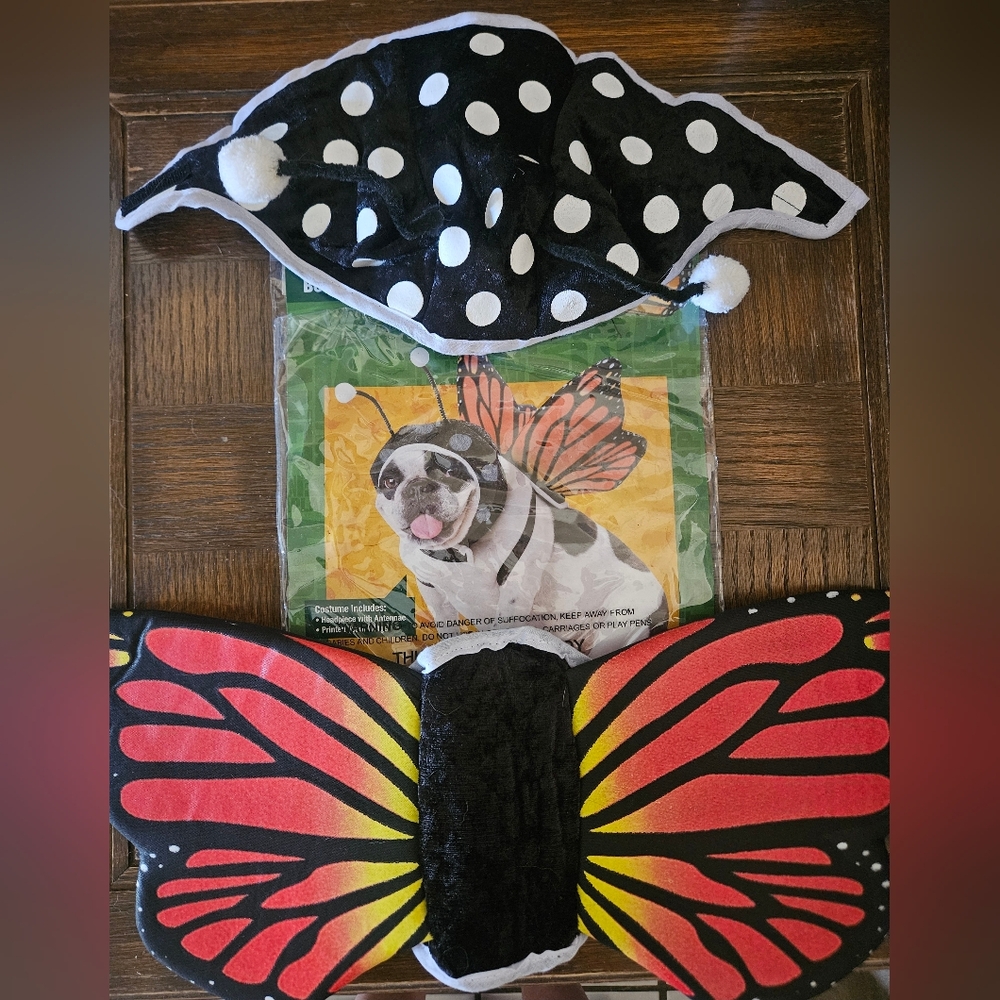 Butterfly Dog Costume Set From Animal Planet Size Medium